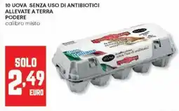 Panorama 10 uova senza uso di antibiotici allevate a terra podere offerta