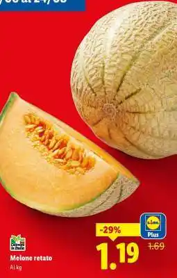 Lidl Melone Retato offerta