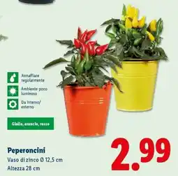 Lidl Peperoncini offerta
