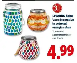 Lidl LIVARNO home Vaso decorativo in vetro ad energia solare offerta