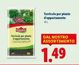 Lidl Terriccio per piante d’appartamento offerta