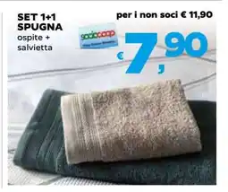 Coop SET 1+1 SPUGNA offerta