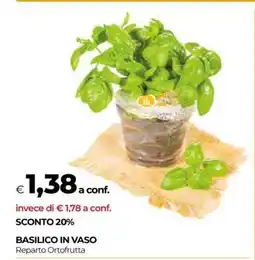 Coop BASILICO IN VASO offerta