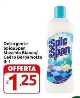 Carrefour Express Detergente Spic&Span Muschio Bianco/ Cedro Bergamotto offerta