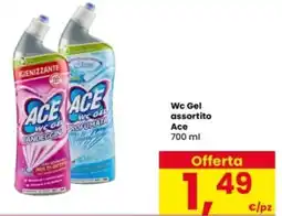Interspar Wc Gel assortito Ace offerta