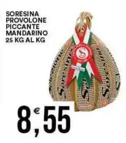 Vantaggio Cash&Carry Soresina provolone piccante mandarino offerta