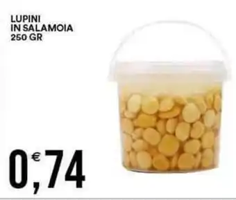 Vantaggio Cash&Carry Lupini in salamoia offerta