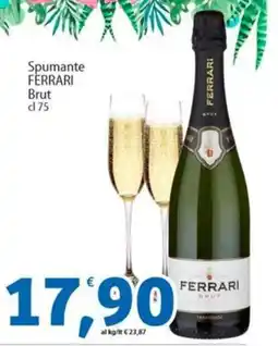 Sidis Spumante FERRARI Brut offerta