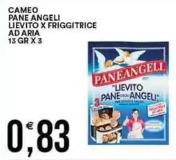 Vantaggio Cash&Carry CAMEO Pane angeli lievito x friggitrice ad aria offerta