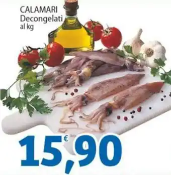 Sidis CALAMARI Decongelati offerta
