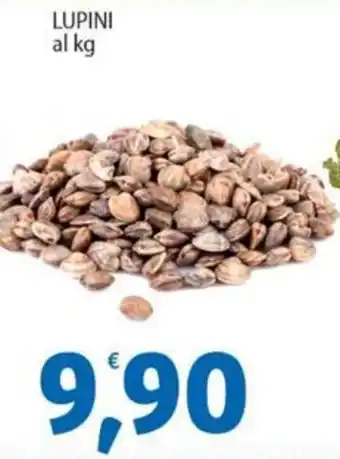 Sidis Lupini offerta