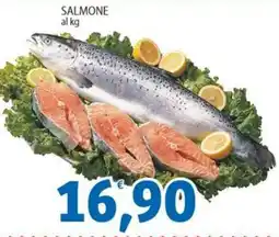 Sidis Salmone offerta