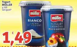 Sidis Yogurt MÜLLER vari gusti offerta