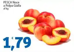 Sidis PESCA Noce a Polpa Gialla offerta