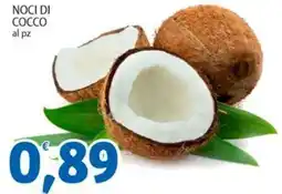 Sidis Noci di cocco offerta