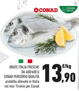 Conad Orate italia fresche CONAD PERCORSO QUALITÀ offerta
