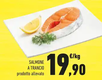 Conad Salmone a trancio offerta