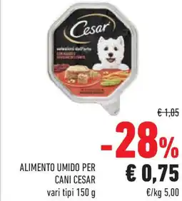 Conad Superstore Alimento umido per CANI CESAR vari tipi offerta