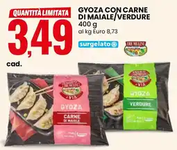 Eurospin Gyoza con carne di maiale/verdure TRE MULINI offerta