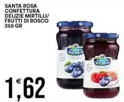 Vantaggio Cash&Carry SANTA ROSA Confettura delizie mirtilli/ frutti di bosco offerta