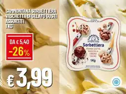 Famila SAMMONTANA SORBETTIERA VASCHETTA DI GELATO GUSTI ASSORTITI offerta
