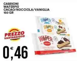 Vantaggio Cash&Carry Cabrioni waferpiù cacao/nocciola/vaniglia offerta