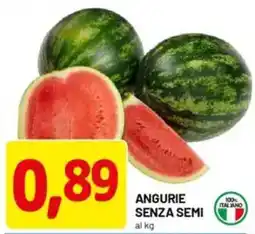 DPiù Angurie senza semi offerta