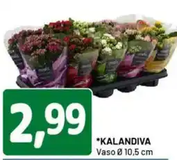 DPiù Kalandiva vaso 10,5 cm offerta