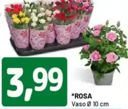 DPiù Rosa vaso 10 cm offerta