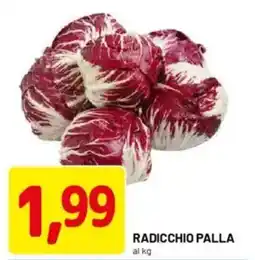 DPiù Radicchio palla offerta