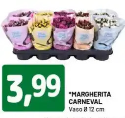 DPiù Margherita carneval offerta