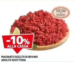 DPiù Macinato scelto di bovino adulto scottona scotjona offerta