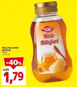 DPiù Miele millefiori squeeze offerta
