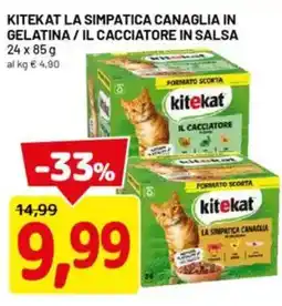 DPiù Kitekat la simpatica canaglia in gelatina/il cacciatore in salsa offerta