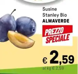 Iper La Grande Susine Stanley Bio ALMAVERDE offerta