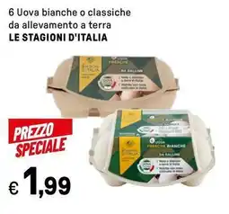 Iper La Grande 6 Uova bianche o classiche da allevamento a terra LE STAGIONI D'ITALIA offerta