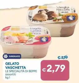MD Discount Gelato vaschetta LE SPECIALITÀ DI BEPPE assortiti offerta