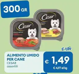 MD Discount Alimento umido per cane CESAR offerta