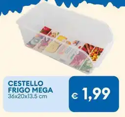 MD Discount Cestello frigo mega offerta
