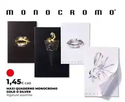 Coop MAXI QUADERNO MONOCROMO GOLD O SILVER offerta