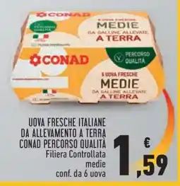Conad UOVA FRESCHE ITALIANE DA ALLEVAMENTO A TERRA CONAD PERCORSO QUALITÀ offerta