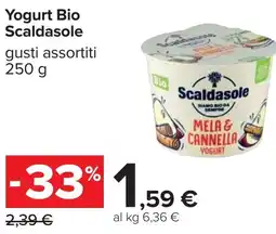 Carrefour Yogurt bio scaldasole MELA & CANNELLA offerta