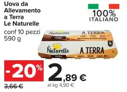 Carrefour Uova da Allevamento a Terra LE NATURELLE offerta