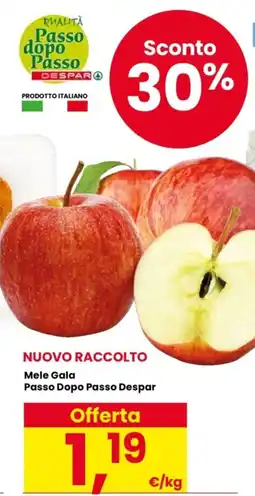 Despar Mele Gala Passo Dopo Passo Despar offerta