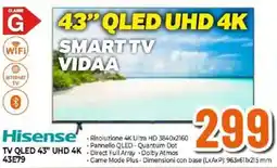 Expert Hisense TV QLED 43” UHD 4K 43E79 offerta