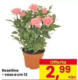 Despar Roselline - vaso cm 12 offerta