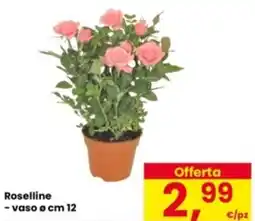 Eurospar Roselline - vaso cm 12 offerta