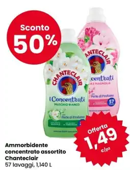 Eurospar Ammorbidente concentrato assortito Chanteclair offerta