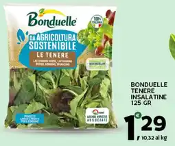 Extra Supermercati Bonduelle tenere insalatine offerta