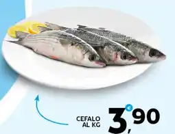 Extra Supermercati Cefalo al kg offerta